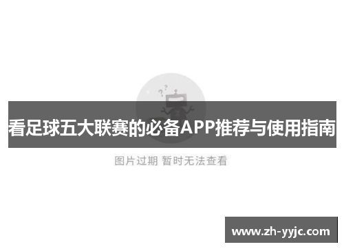 看足球五大联赛的必备APP推荐与使用指南